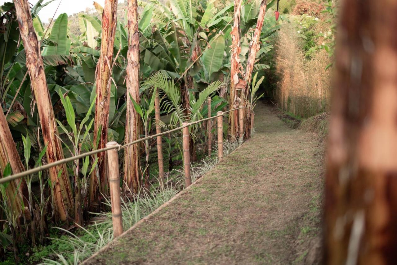 Chami Glamping Villa Manizales Bagian luar foto