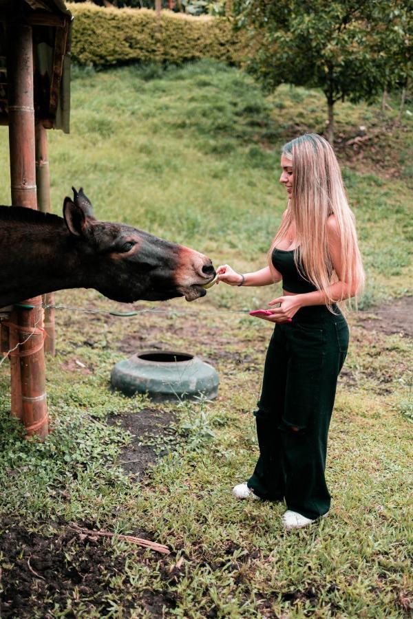 Chami Glamping Villa Manizales Bagian luar foto