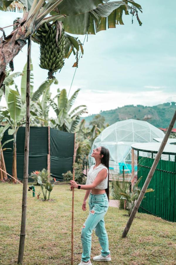 Chami Glamping Villa Manizales Bagian luar foto