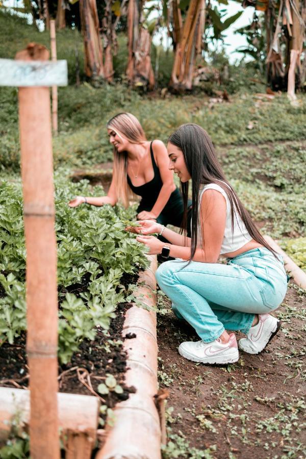 Chami Glamping Villa Manizales Bagian luar foto