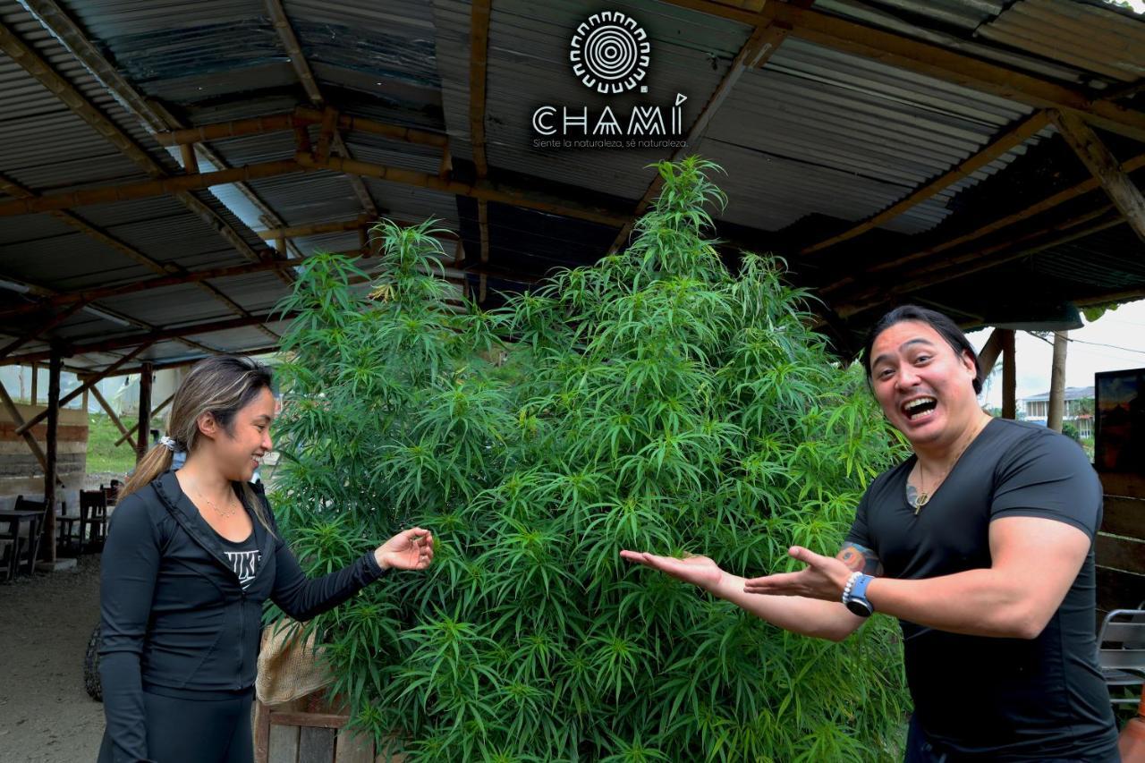 Chami Glamping Villa Manizales Bagian luar foto