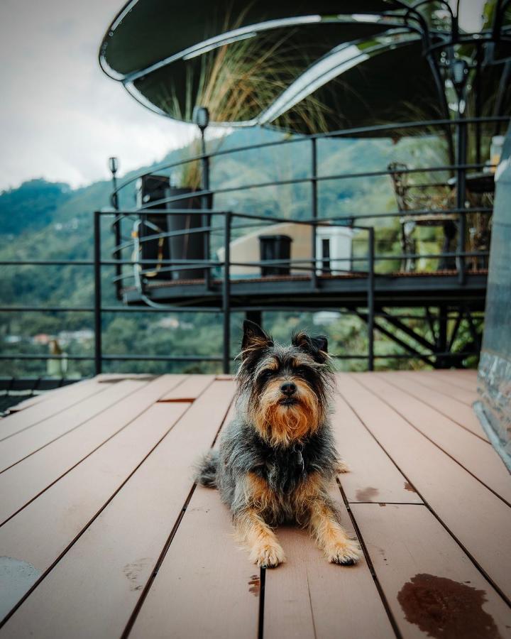 Chami Glamping Villa Manizales Bagian luar foto