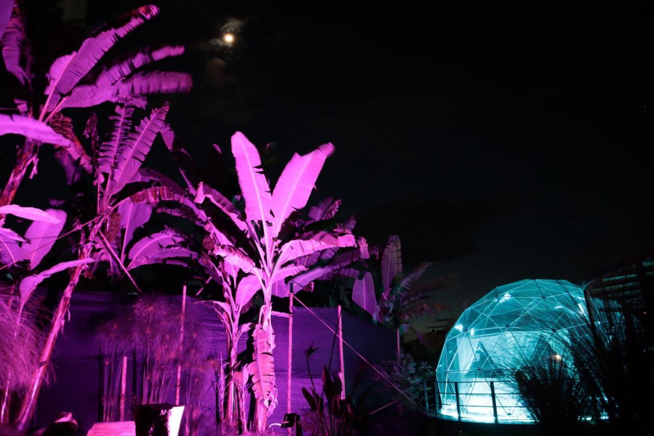 Chami Glamping Villa Manizales Bagian luar foto