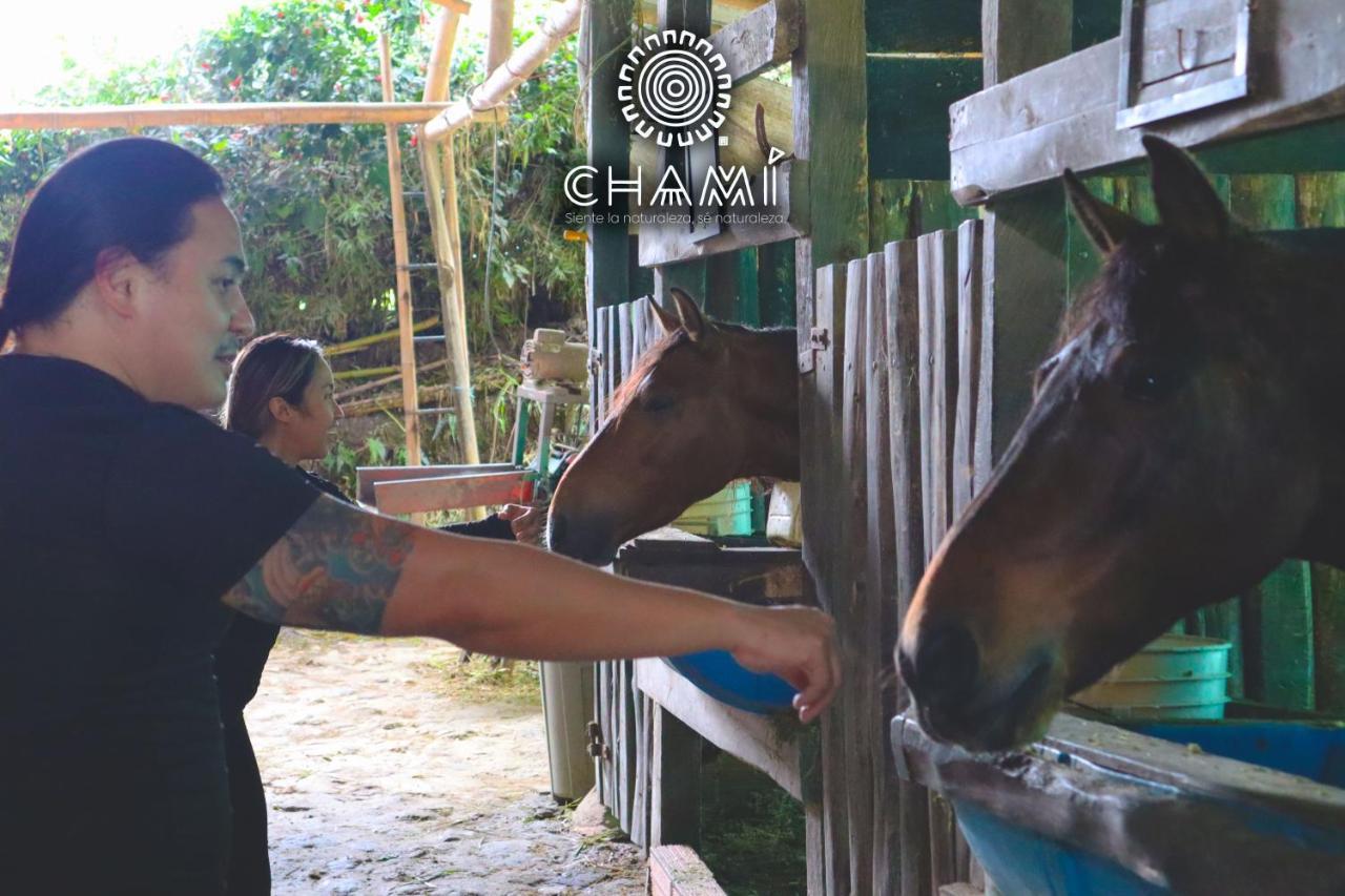 Chami Glamping Villa Manizales Bagian luar foto